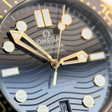 Seamaster Diver 300 M -  Gold Bezel | 2024 Full Set in Excellent Condition - 210.22.42.20.01.001
