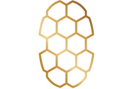 Gold honeycomb pattern on a white background